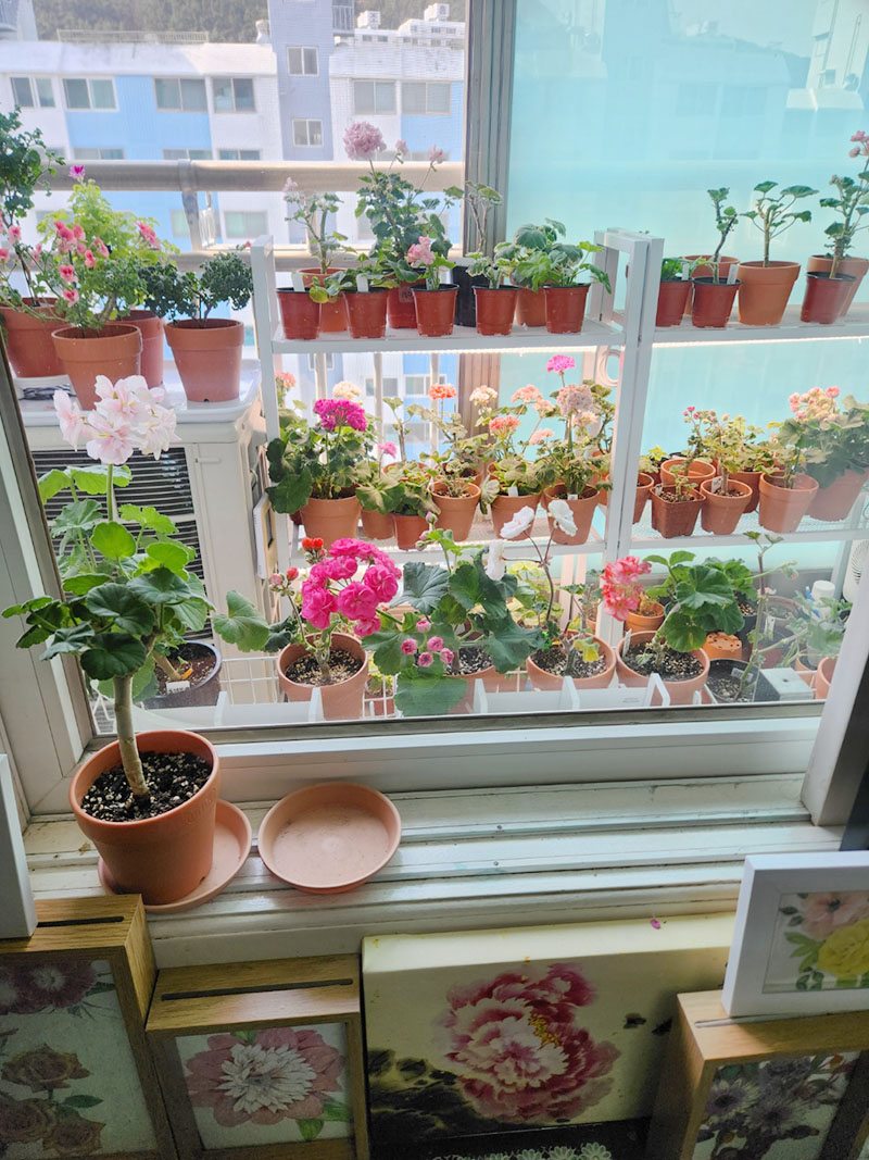 KakaoTalk_20250513_112620988.jpg